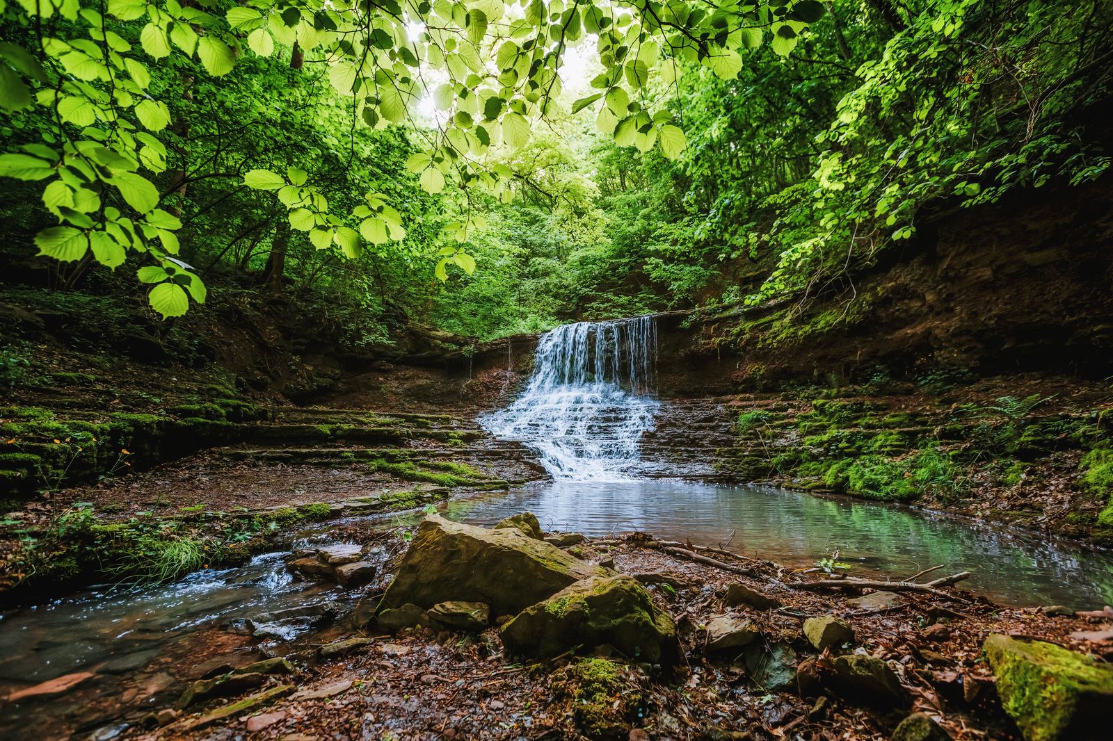 Wasserfall im sommerlichen Wald